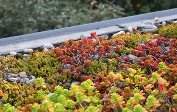 the cost of Occold green roof installation