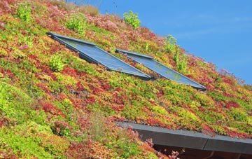Occold living roof systems
